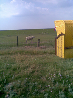 Erholung an der Nordsee