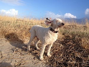 Erholung an der Nordsee