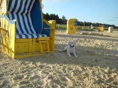 Erholung an der Nordsee