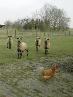 Erholung an der Nordsee