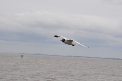 Ferienwohnungen an der Nordsee