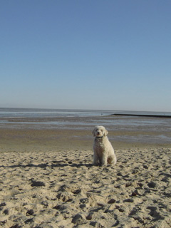 Erholung an der Nordsee