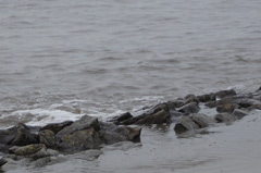 Ferienwohnung an der Nordsee